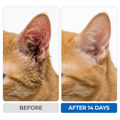 Celasti™ Pet Ear Wash
