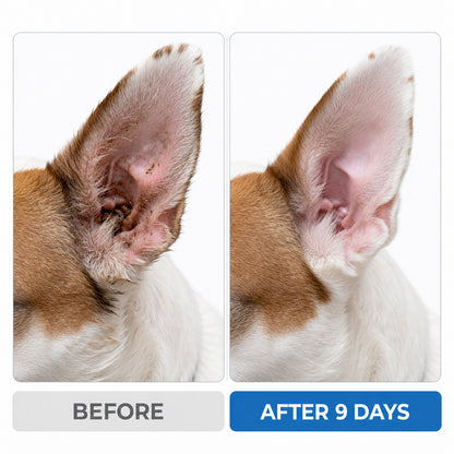 Celasti™ Pet Ear Wash